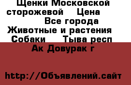 Щенки Московской сторожевой  › Цена ­ 25 000 - Все города Животные и растения » Собаки   . Тыва респ.,Ак-Довурак г.